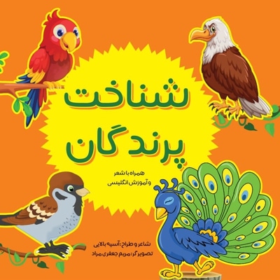 شناخت پرندگان
